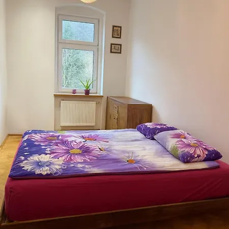 Lejlighed Privately Owned Near Karlovy Vary *