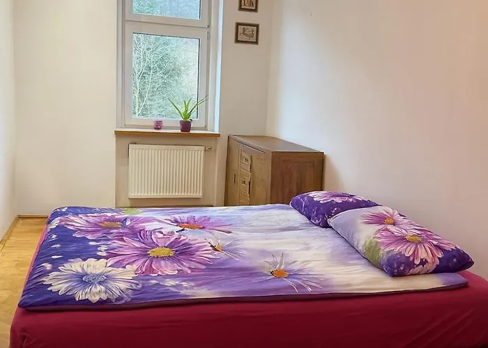 公寓 Privately Owned Near Karlovy Vary *